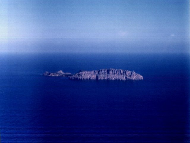 IBIZAPALMA1.jpg (35751 bytes)