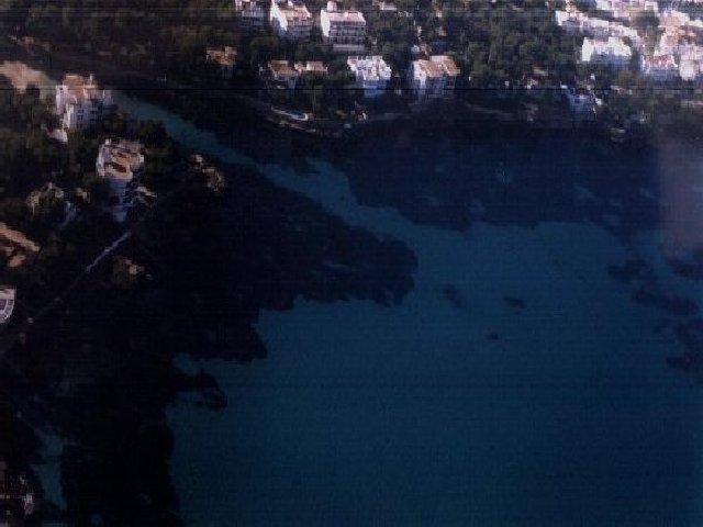 VALENIBIZA3.jpg (42246 bytes)